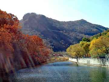 新澳天天开奖资料大全旅游团，松江宏基笔记本维修